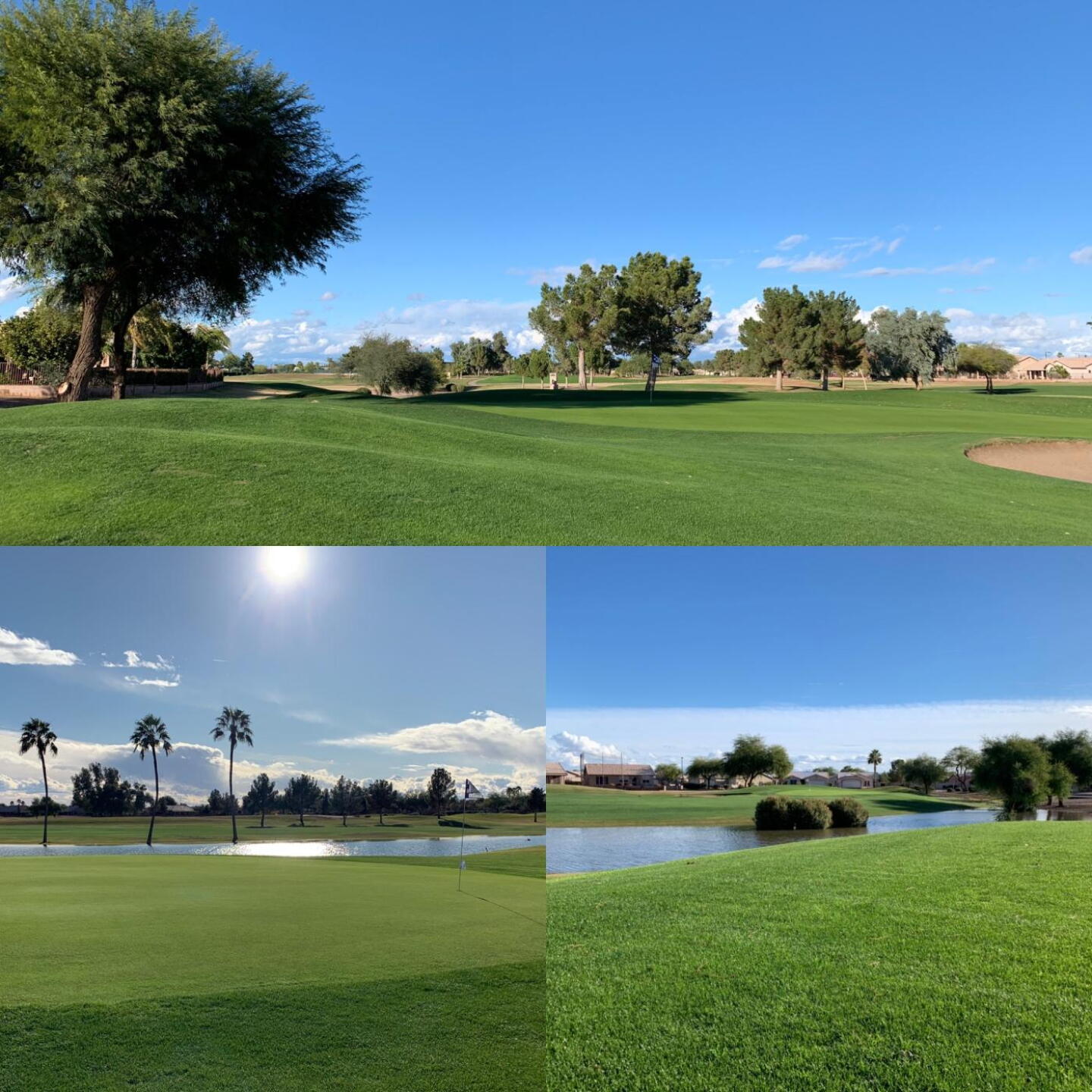 7 (Photo submitted by FormerHacker81 on 12/08/2019)