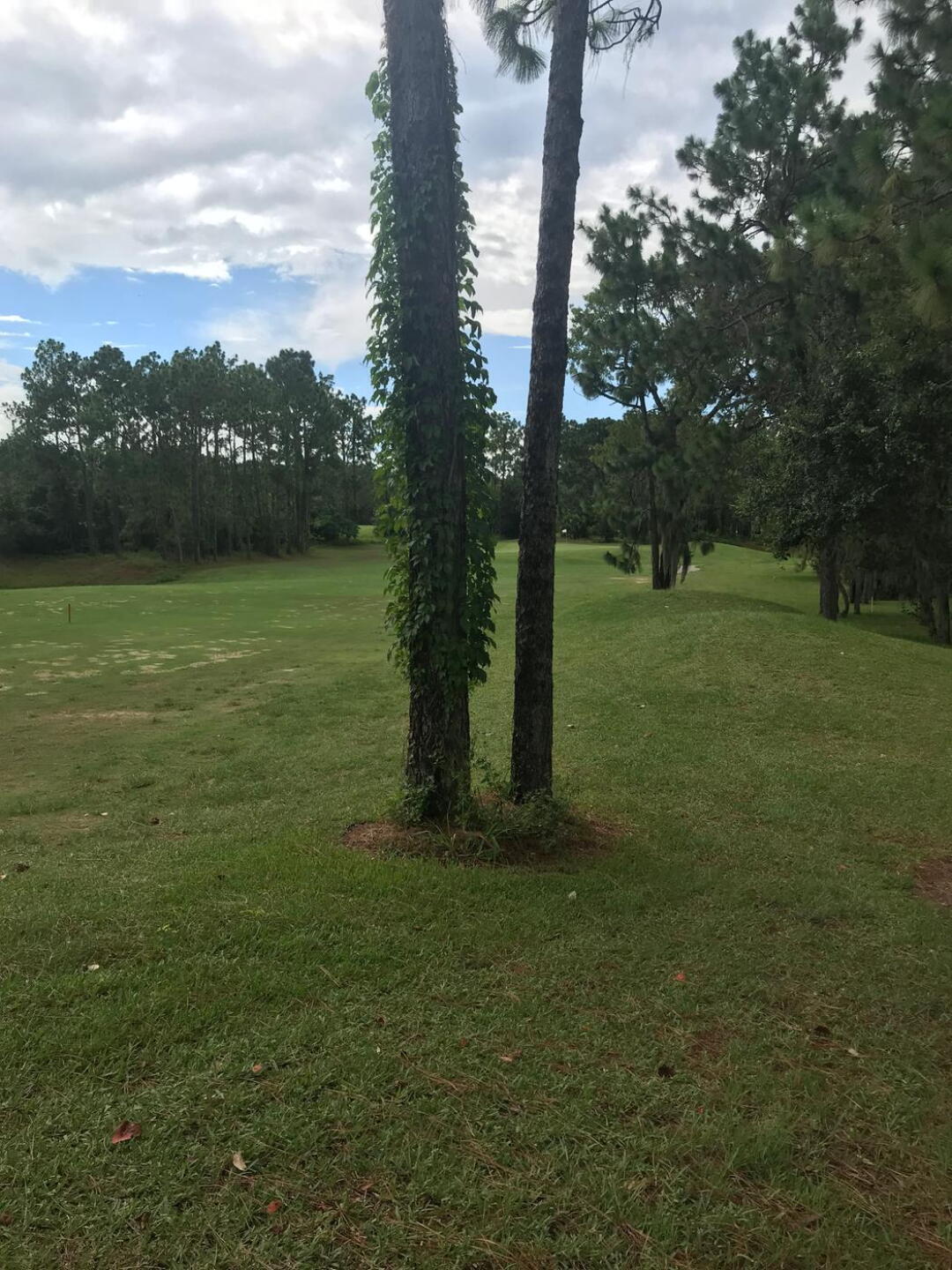 Hole 17 (Photo submitted by Hmcr0213 on 07/22/2020)