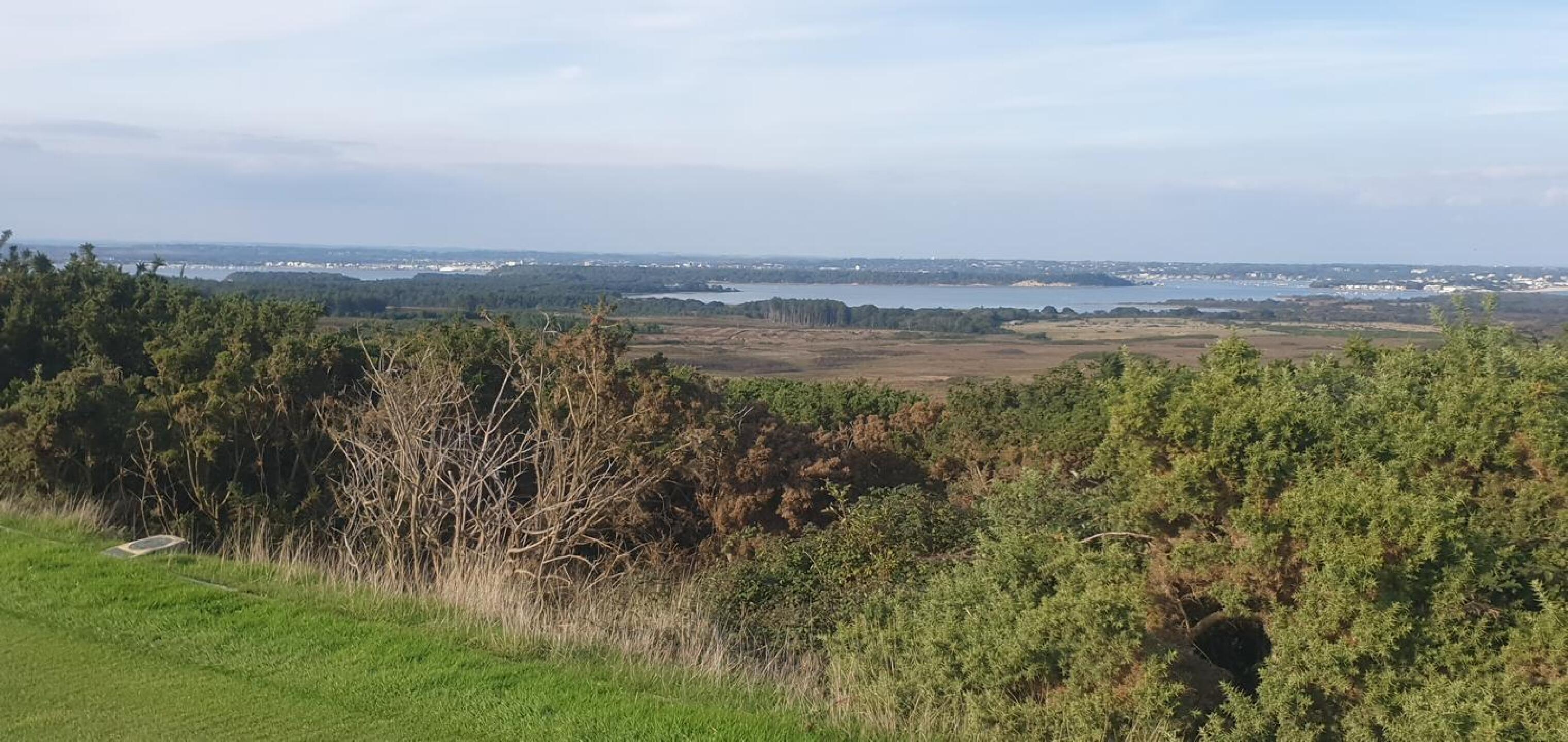 (Photo submitted by OldBrain on 09/22/2022)