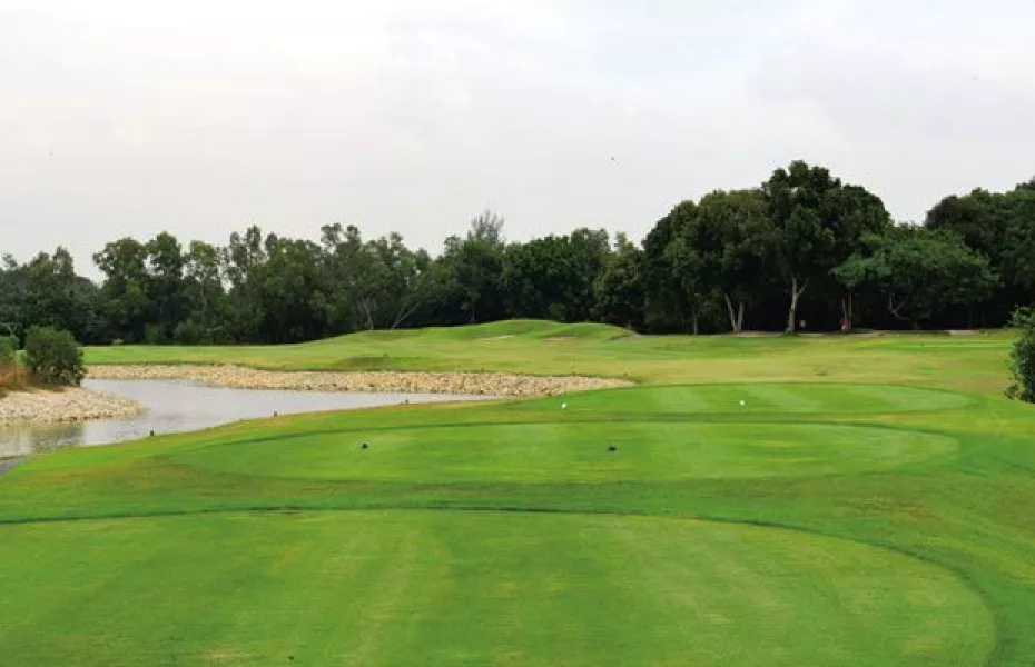 Palm Springs GCC - Island: #6