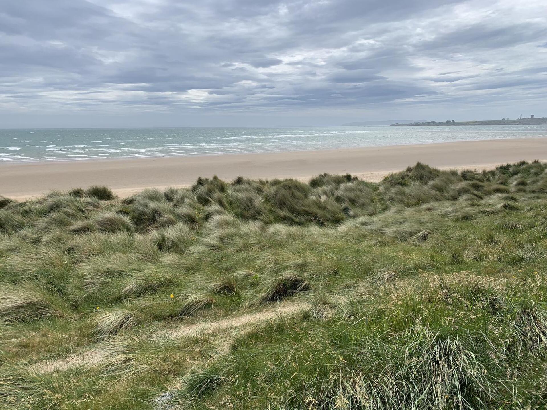 (Photo submitted by u7470894 on 06/16/2021)