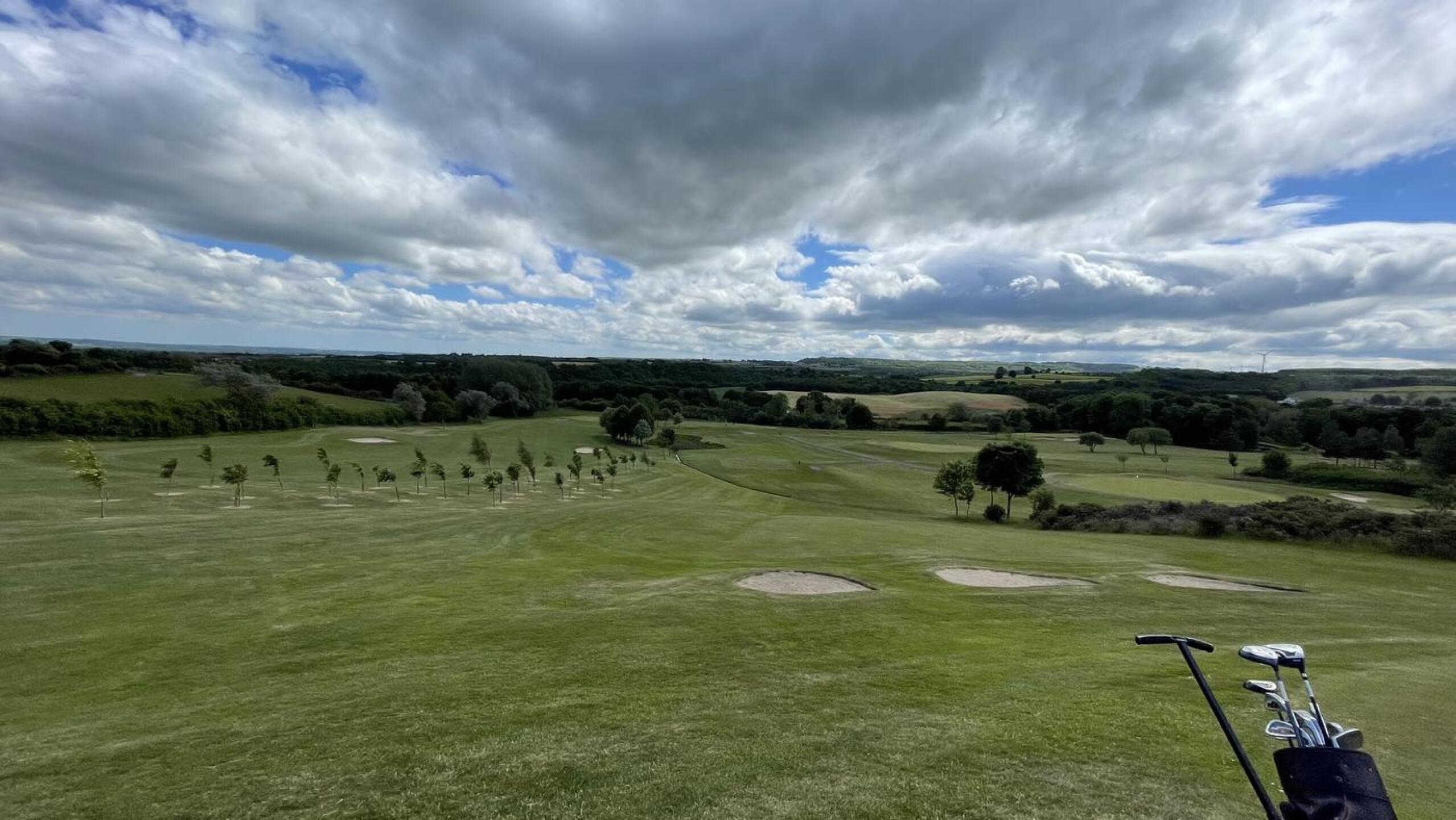 (Photo submitted by u314162000486 on 08/13/2021)