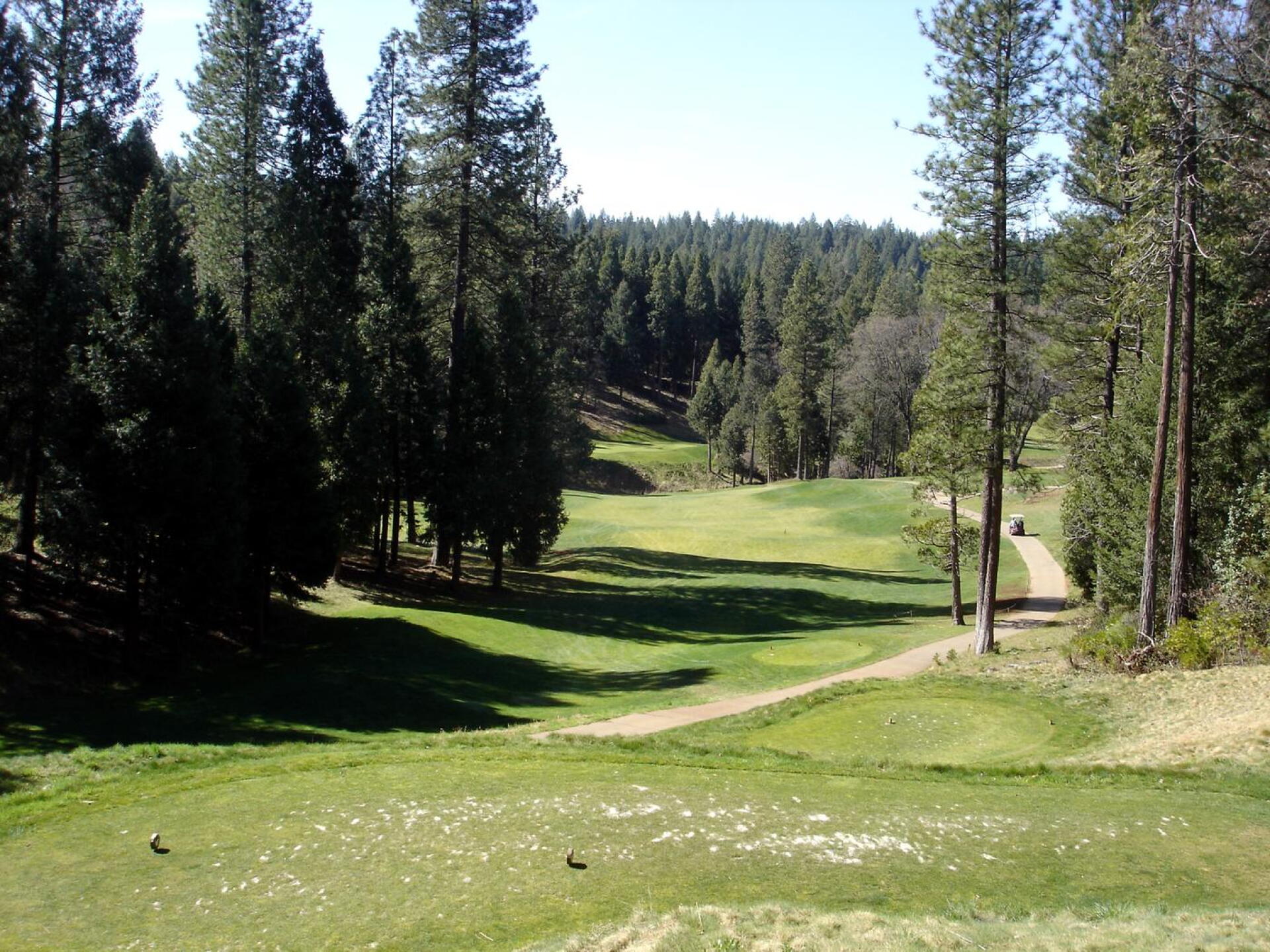 Apple Mountain GR, Hole 11, Par 4, 359 yds (Photo submitted by DYakimec on 03/18/2020)
