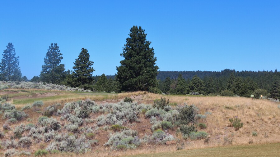 The Retreat & Links at Silvies Valley Ranch - Craddock course - hole 4