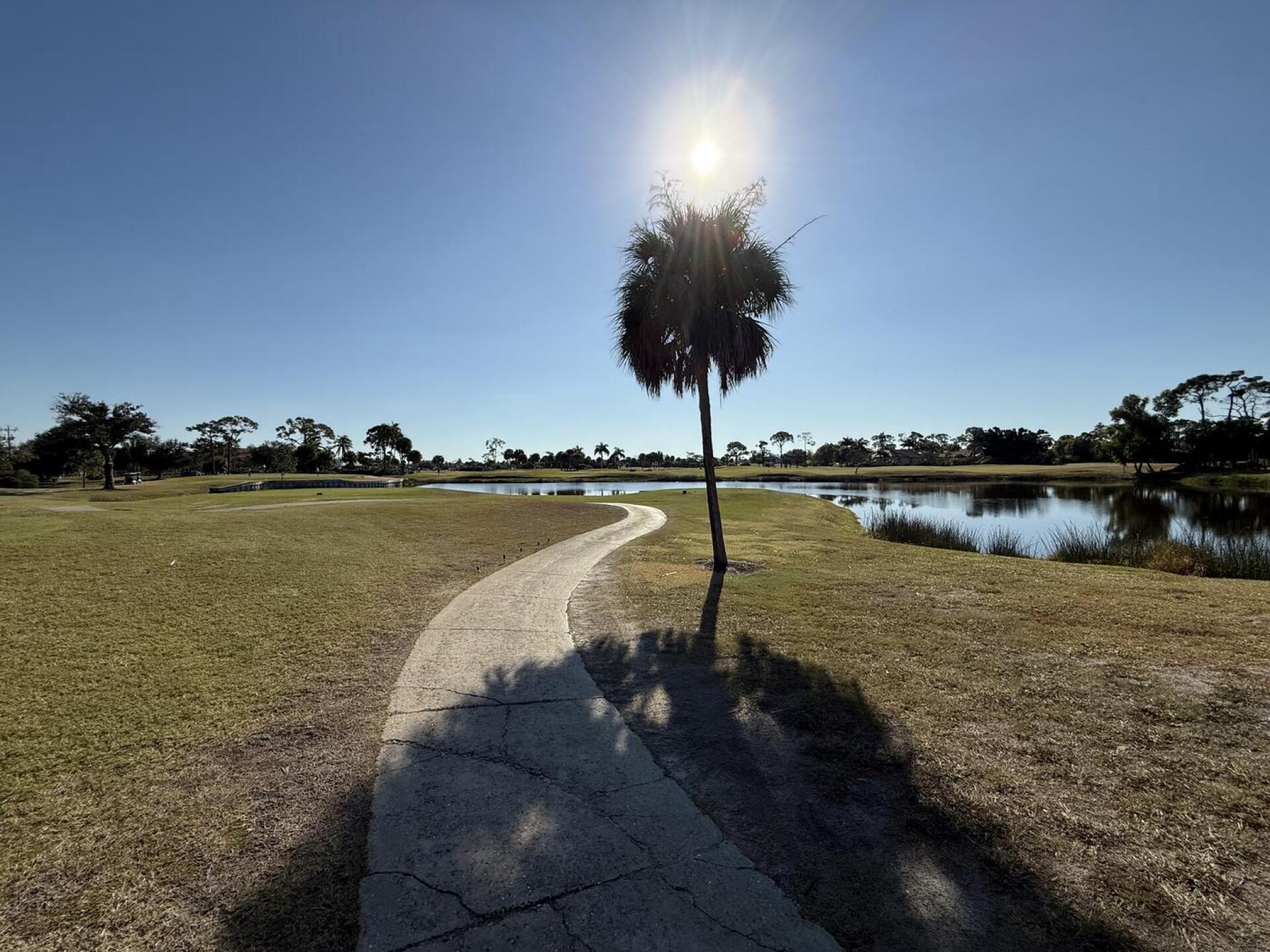 (Photo submitted by kSIAe8cF4ayOCDUNBBKC on 11/17/2025)