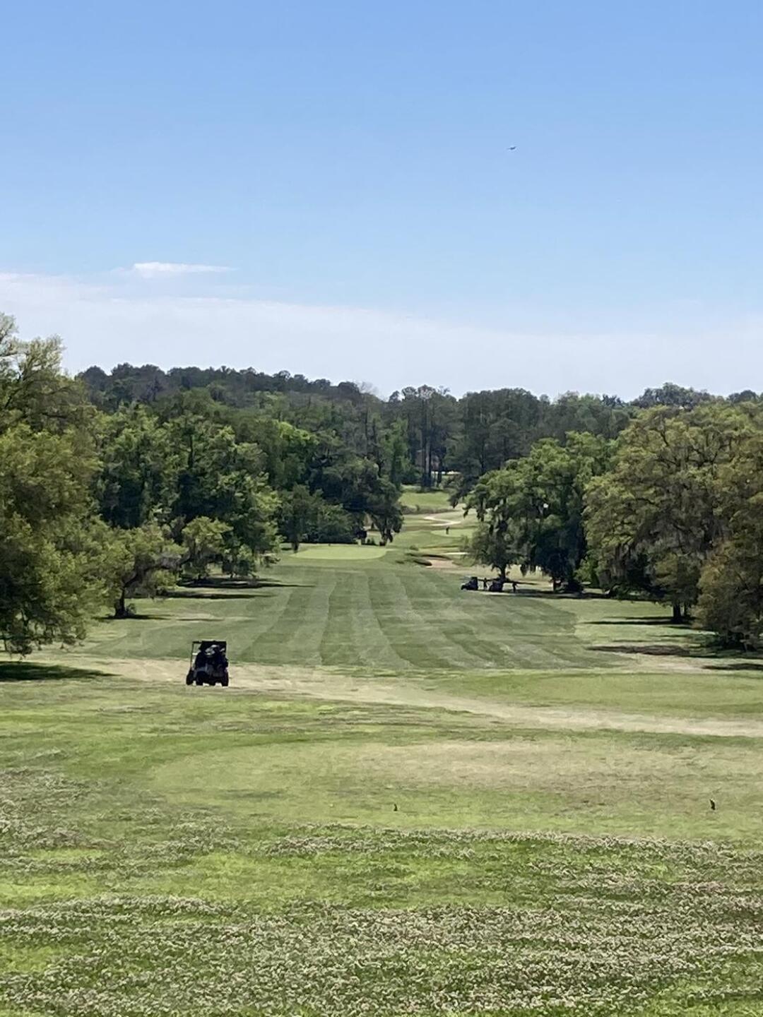 (Photo submitted by u9680216 on 03/16/2023)