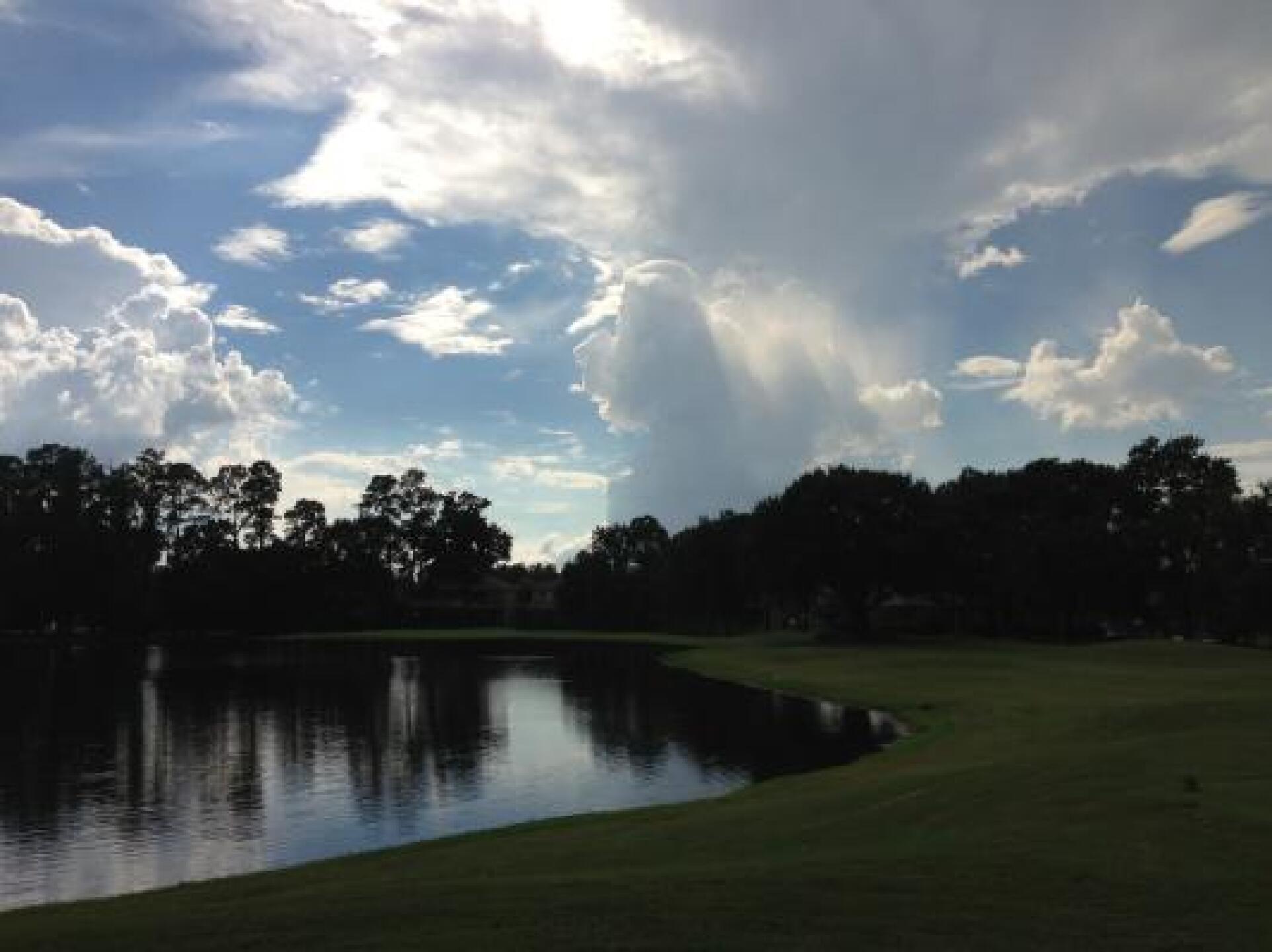 (Photo submitted by u000006818584 on 09/05/2013)