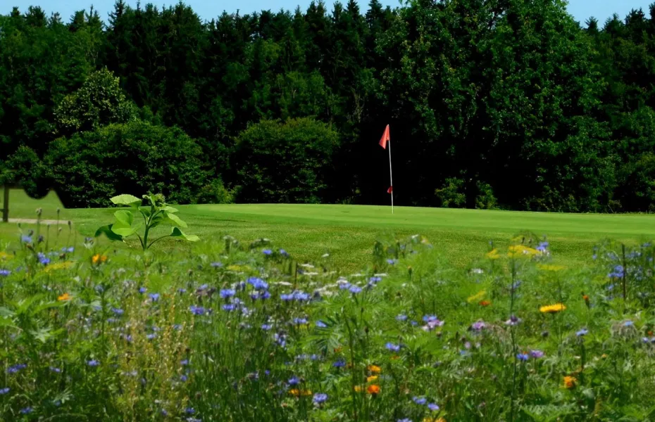 Ravensburg GC