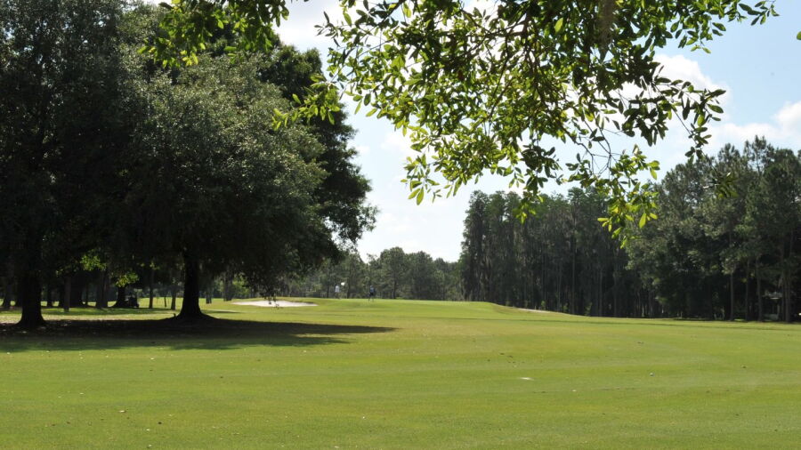 Pebble Creek GC: 10th fairway
