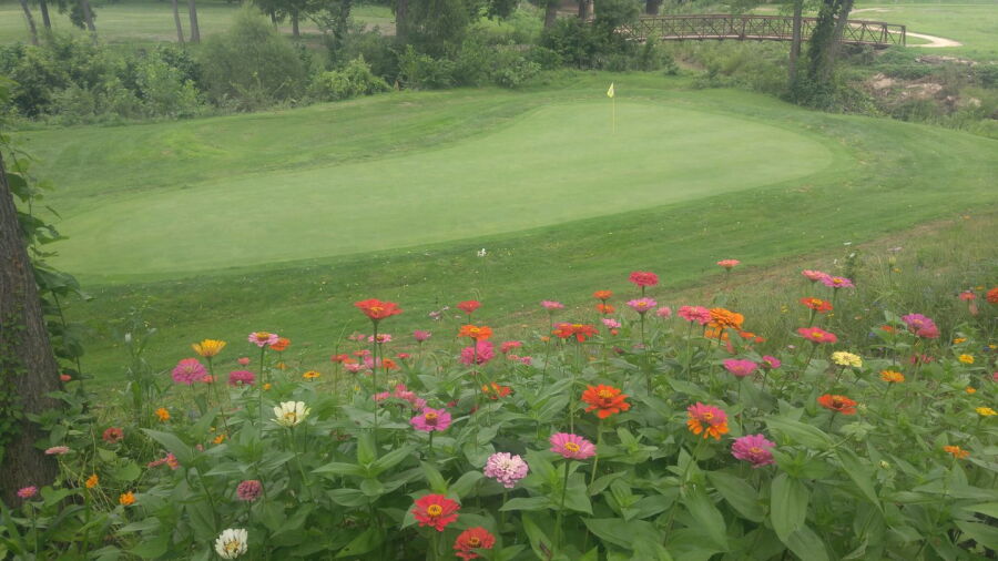 The Woodlands GC: #4