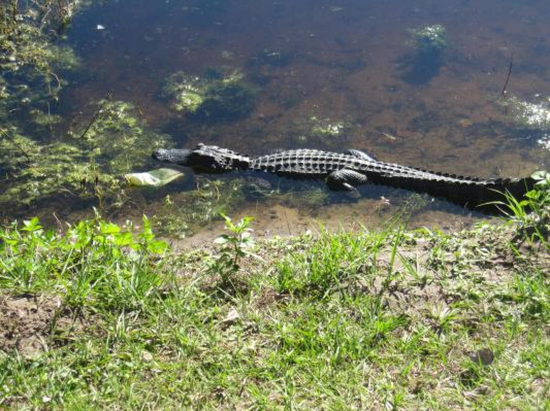 (Photo submitted by DenisGodin69 on 02/19/2014)