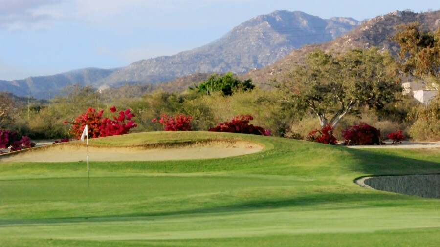 Cabo San Lucas Country Club - greens
