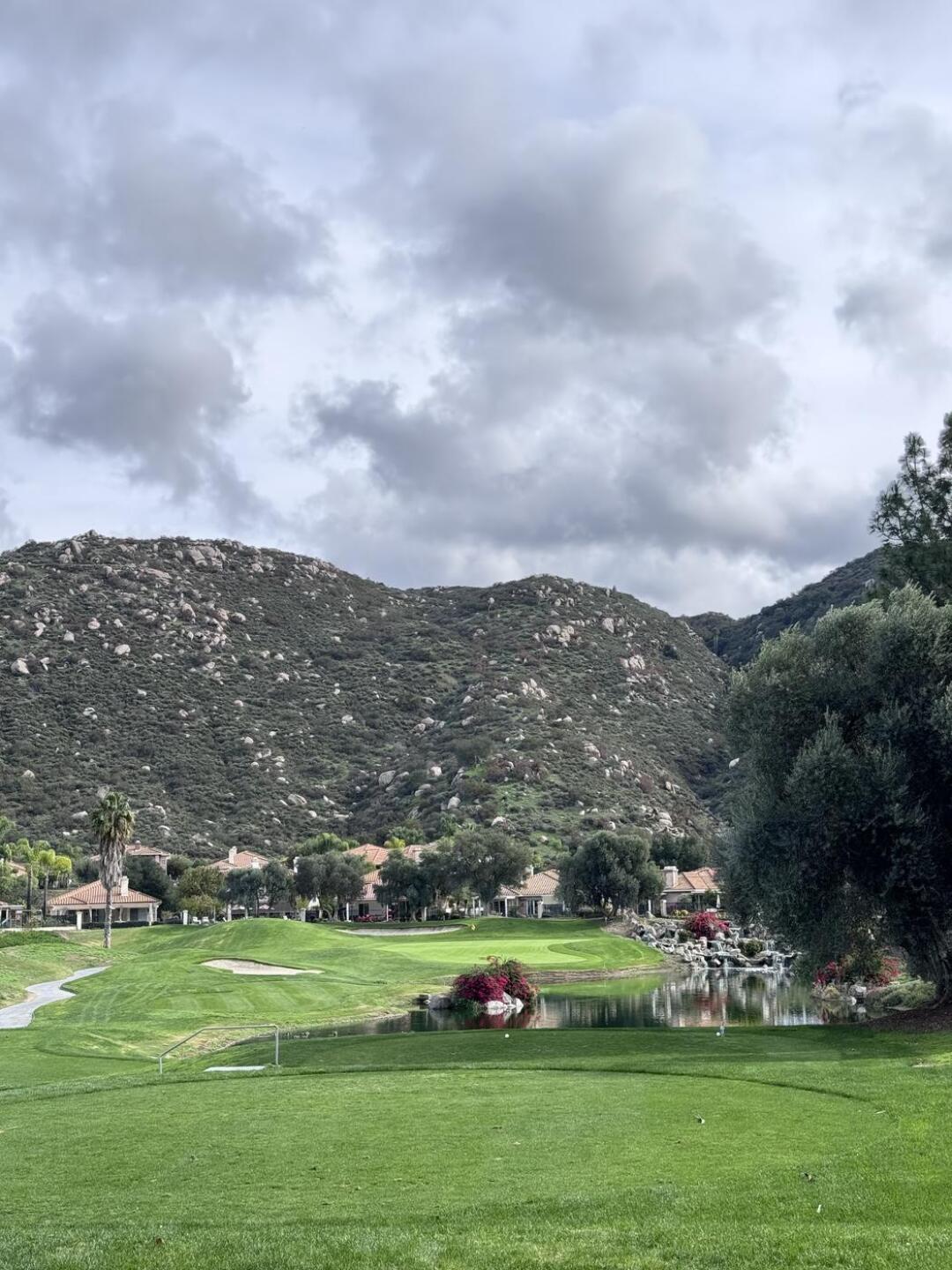 (Photo submitted by VanDeezy on 01/05/2026)