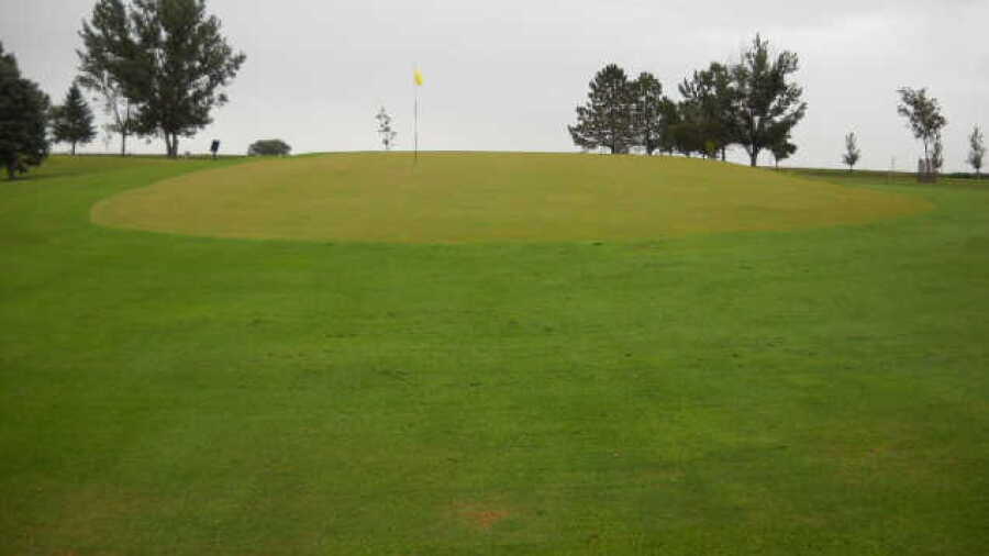 Miller GC
