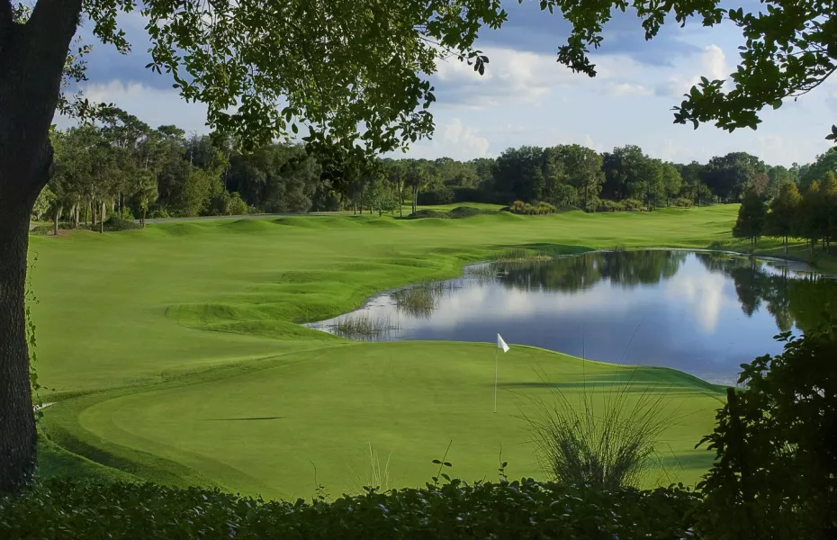 Grand Cypress - South: #6