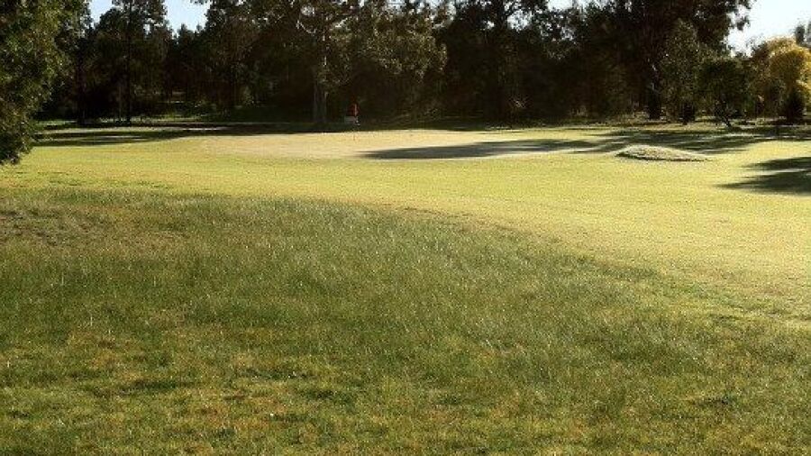 Narrandera GC: #1