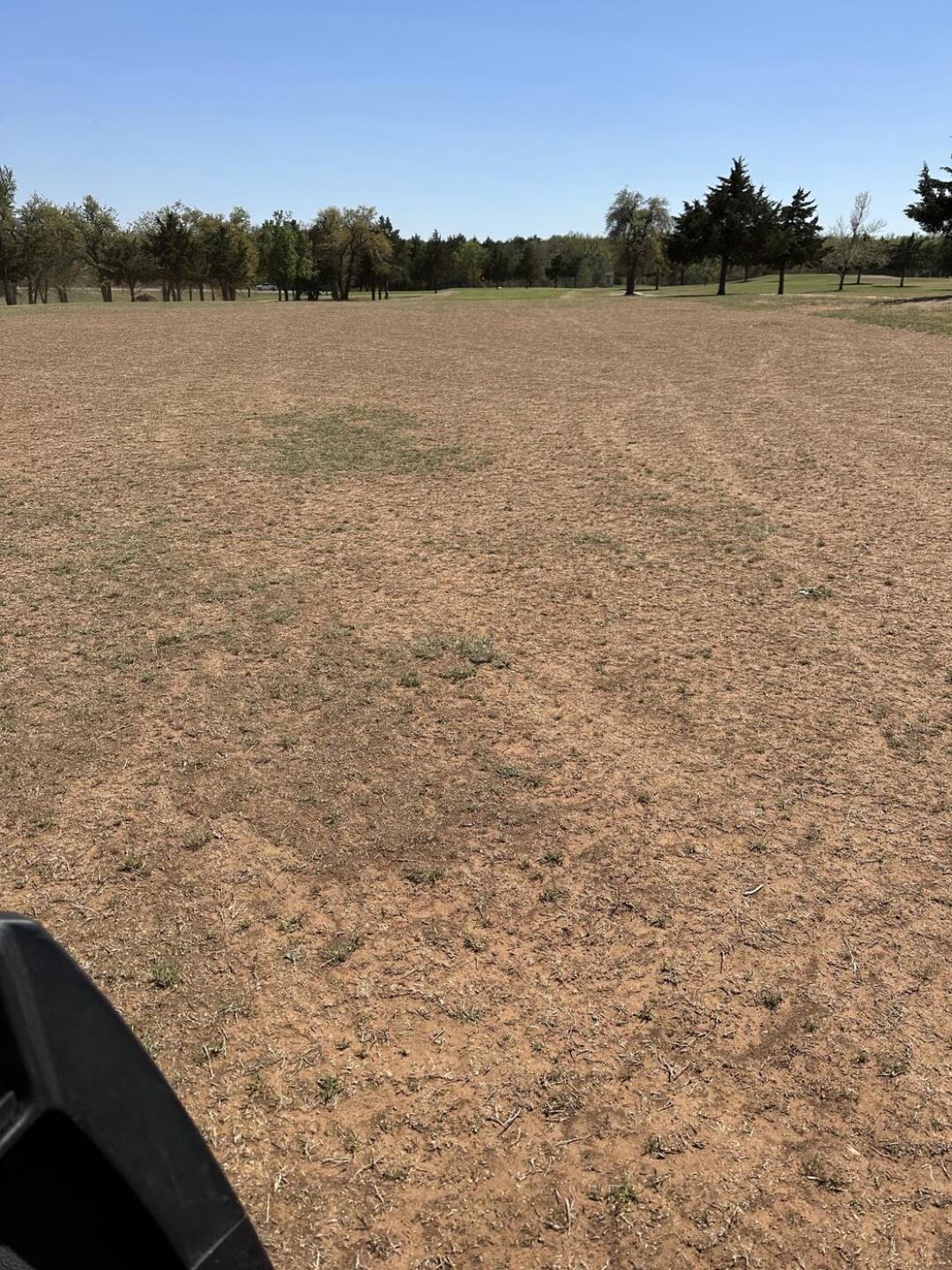 (Photo submitted by u314159326537 on 04/17/2023)