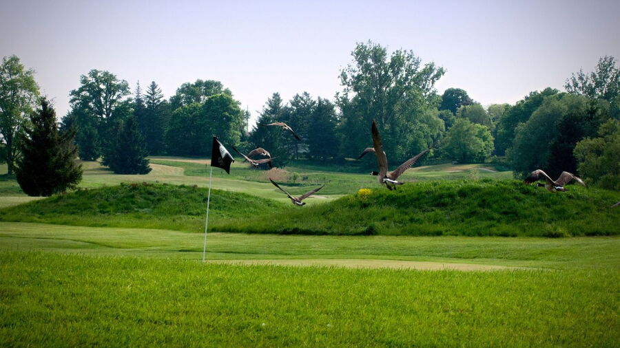Dorchester GC
