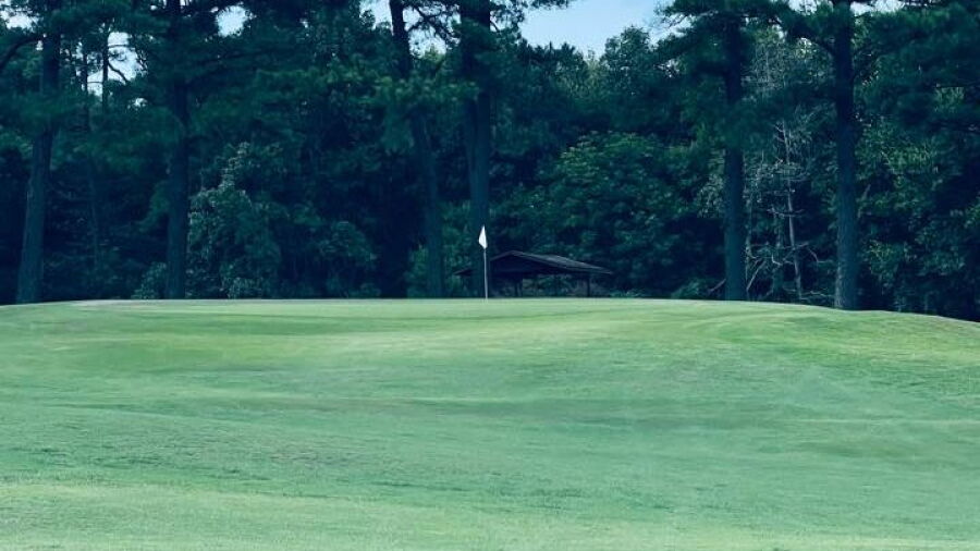 Morrilton CC