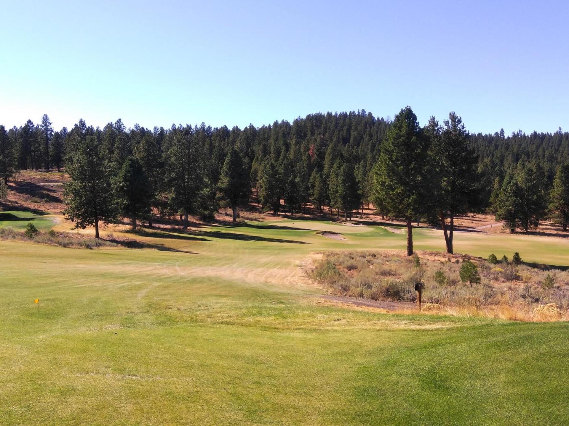 (Photo submitted by hacksalot03 on 09/10/2018)