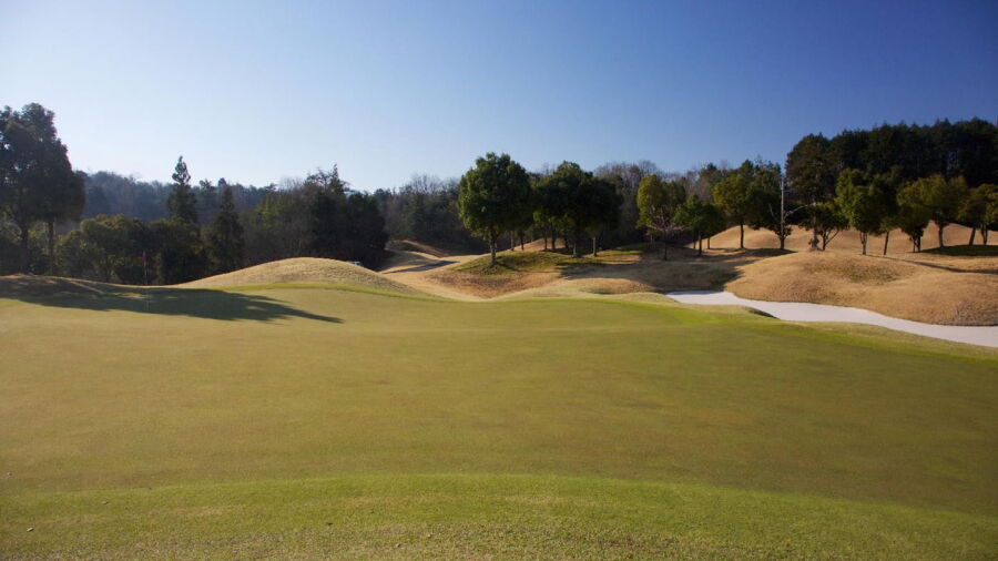 Green Hill Seki GC: #11