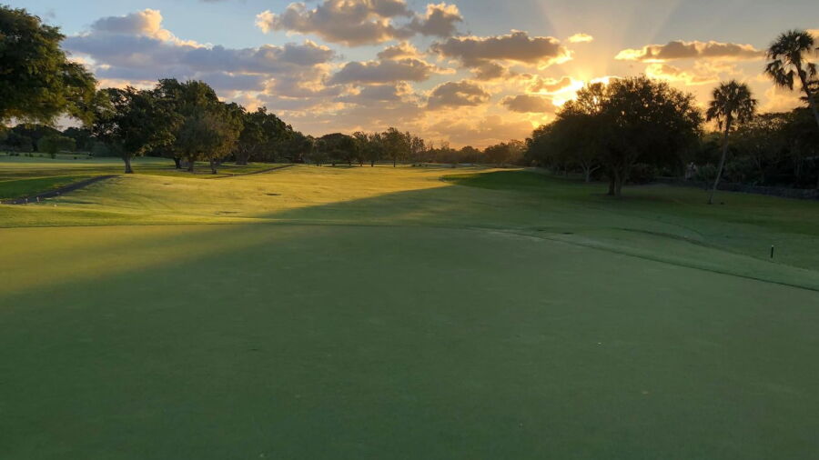 Miami Shores CC: #14