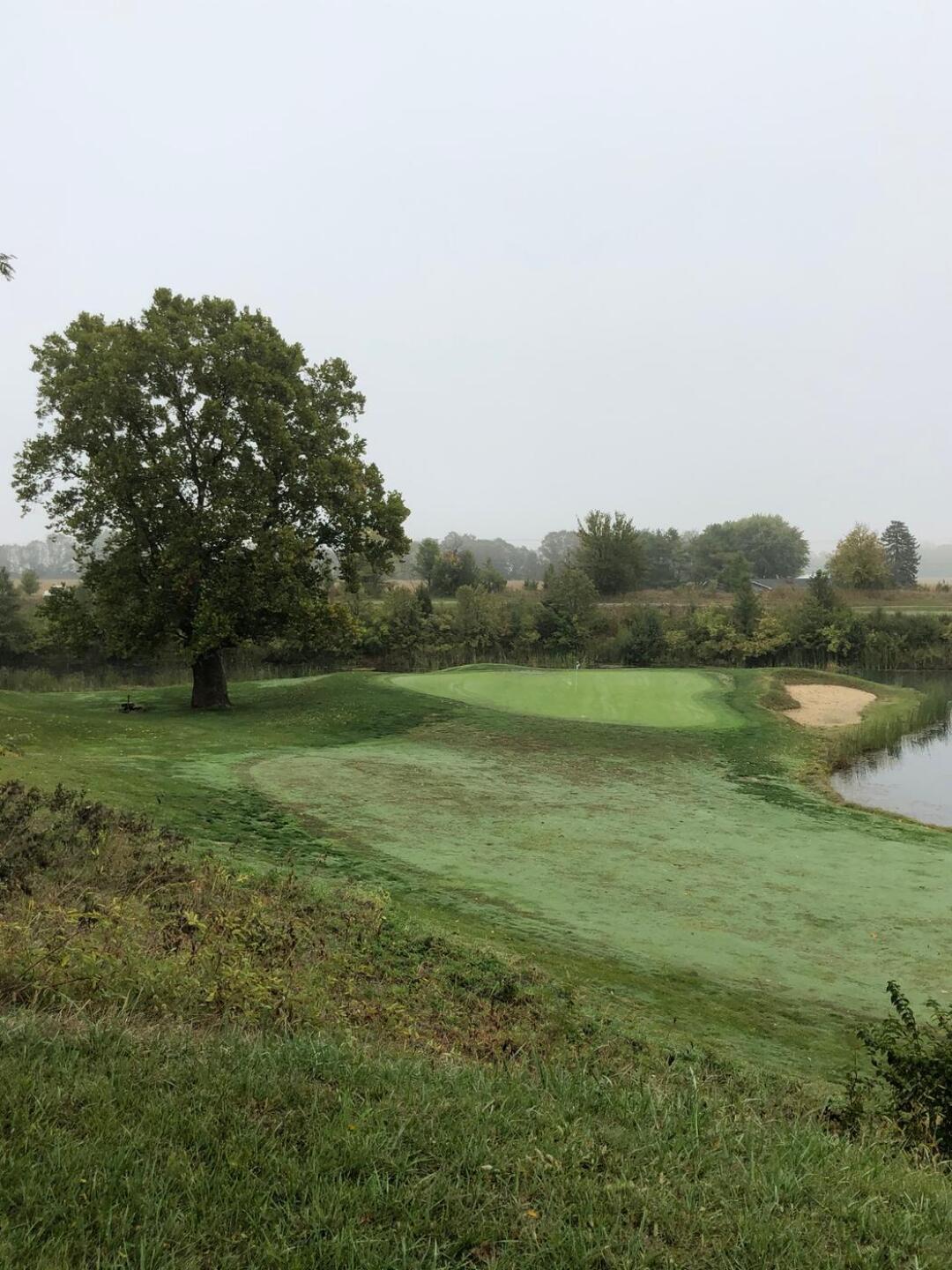 Love the Keebler hole (Photo submitted by u6954911 on 10/06/2020)