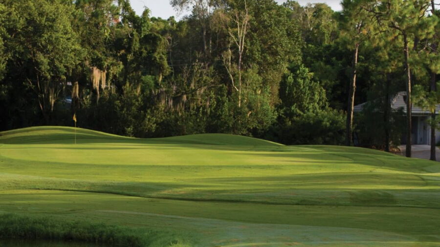 Estero CC