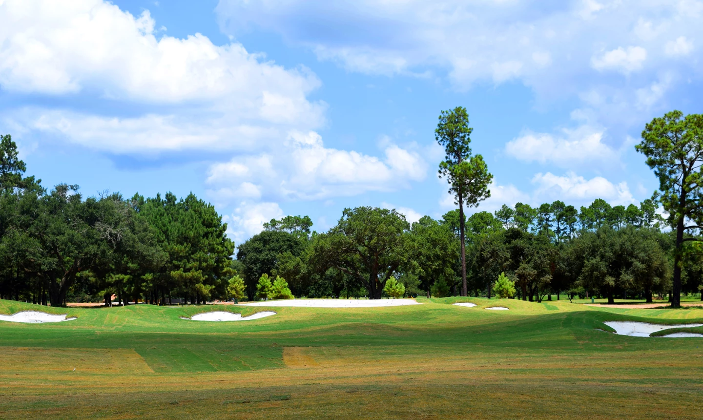 The Clubs at Houston Oaks golf course
