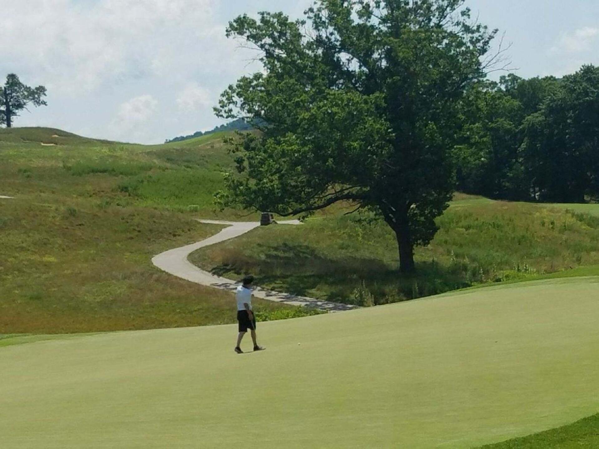 (Photo submitted by mrpibb7781 on 07/26/2017)