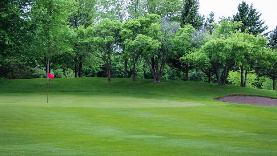 Eagle Trace GC