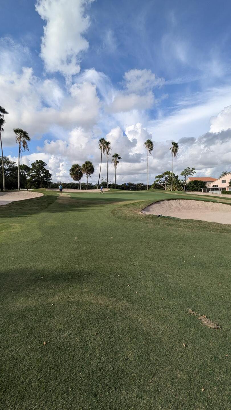 (Photo submitted by tiburonazo on 10/07/2024)