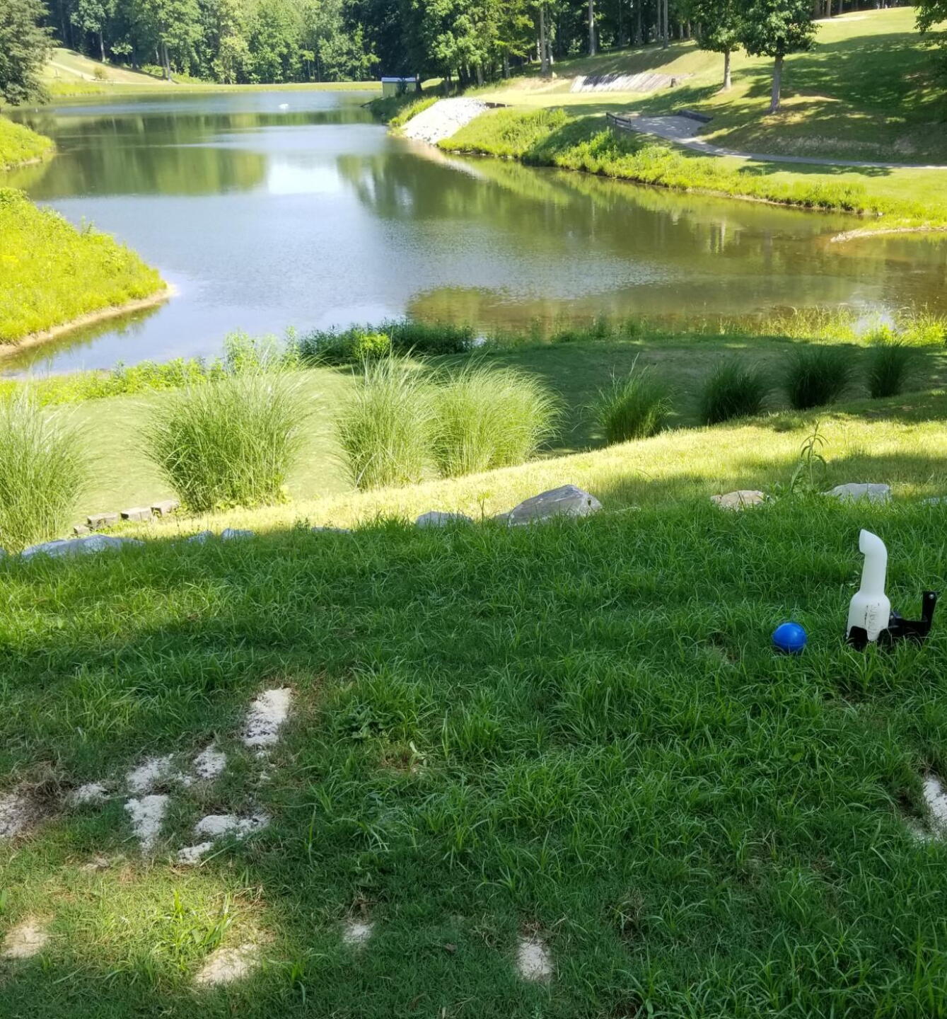 Long grass tee box (Photo submitted by ShortKnocker1 on 05/27/2019)