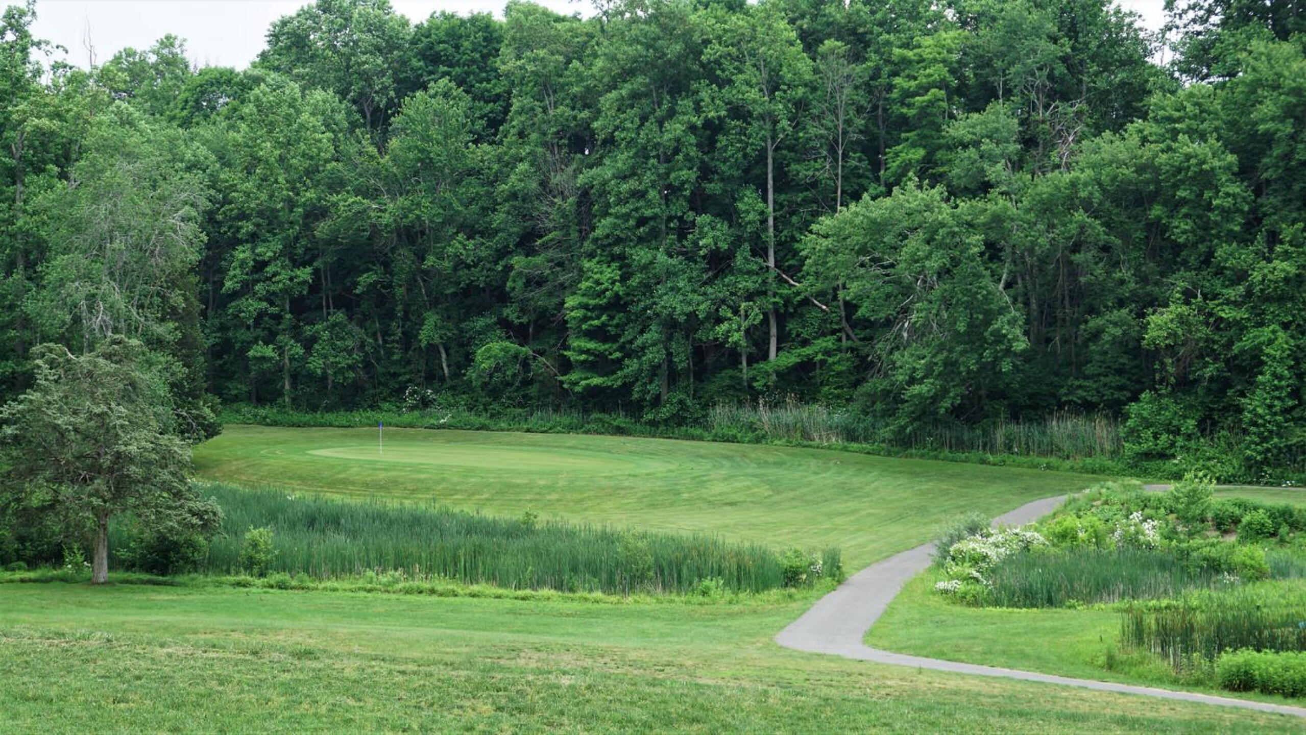 Fifteen. A tough target. This classic par-three maxes out at 172 from a high tee. (Photo submitted by AptlyLinked on 06/09/2021)