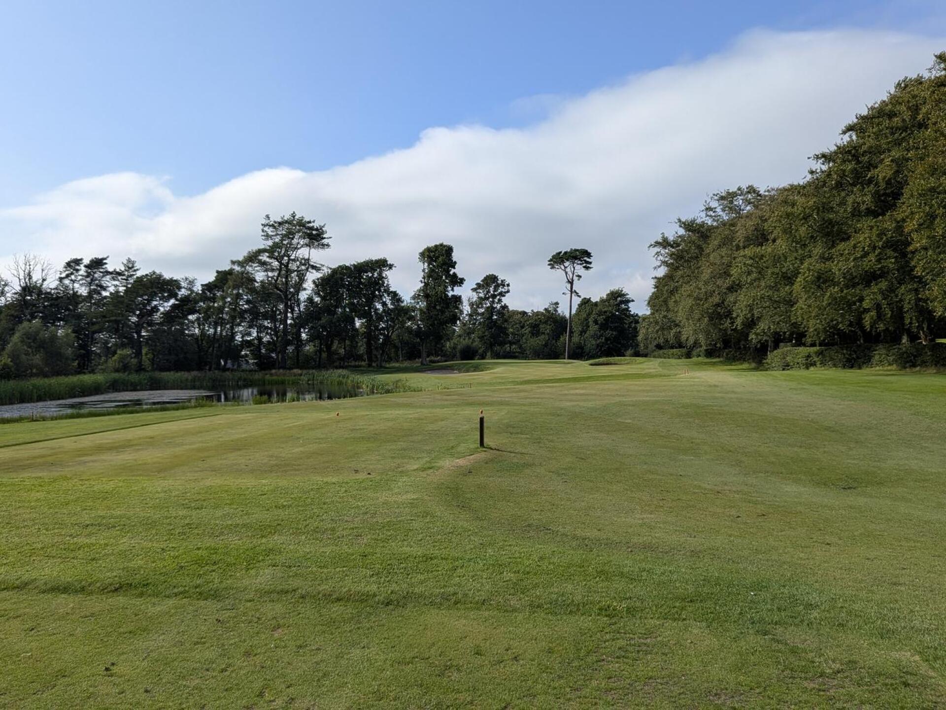 5 (Photo submitted by u245592432 on 04/04/2026)