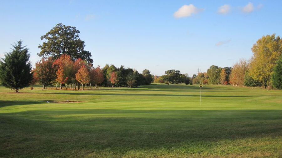 Theale GC
