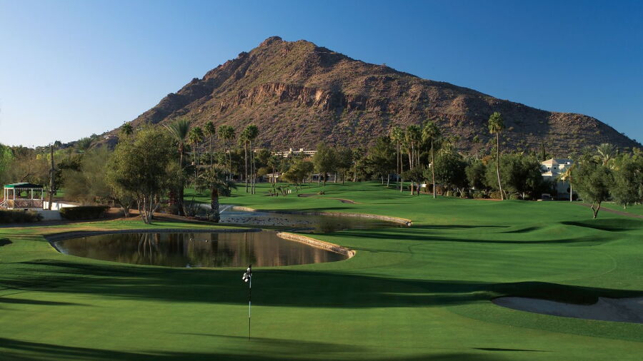 The Phoenician