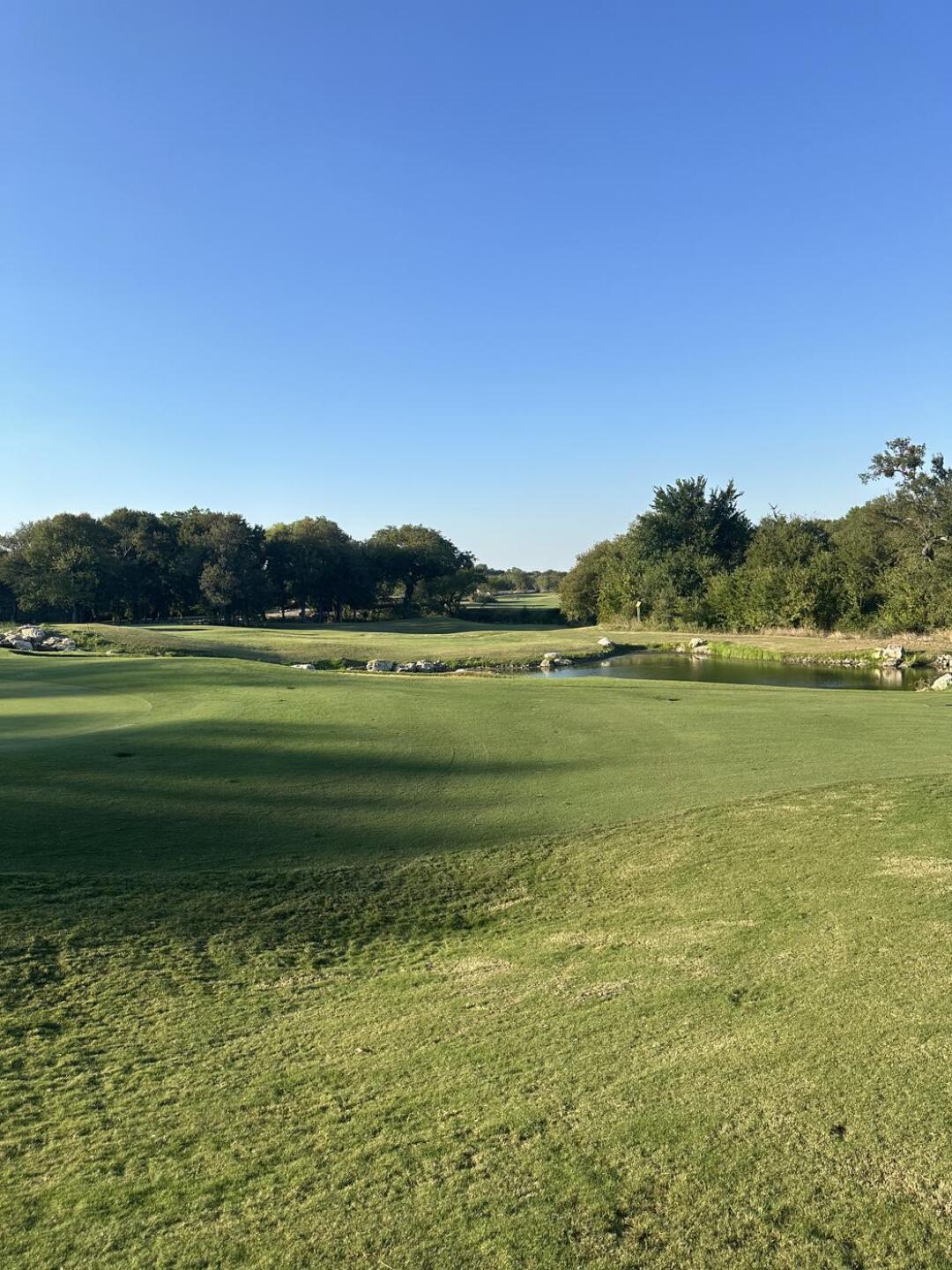 (Photo submitted by catherinecooley on 10/03/2024)