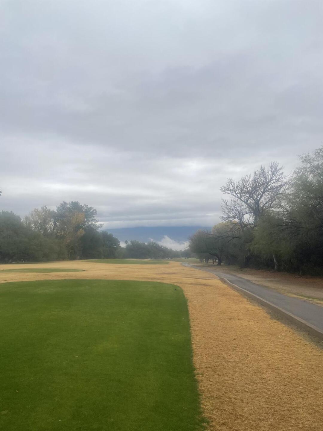 (Photo submitted by gsugaski on 12/04/2022)