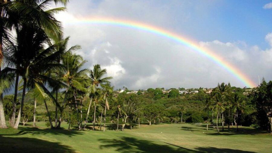 Pearl at Kalauao: #8