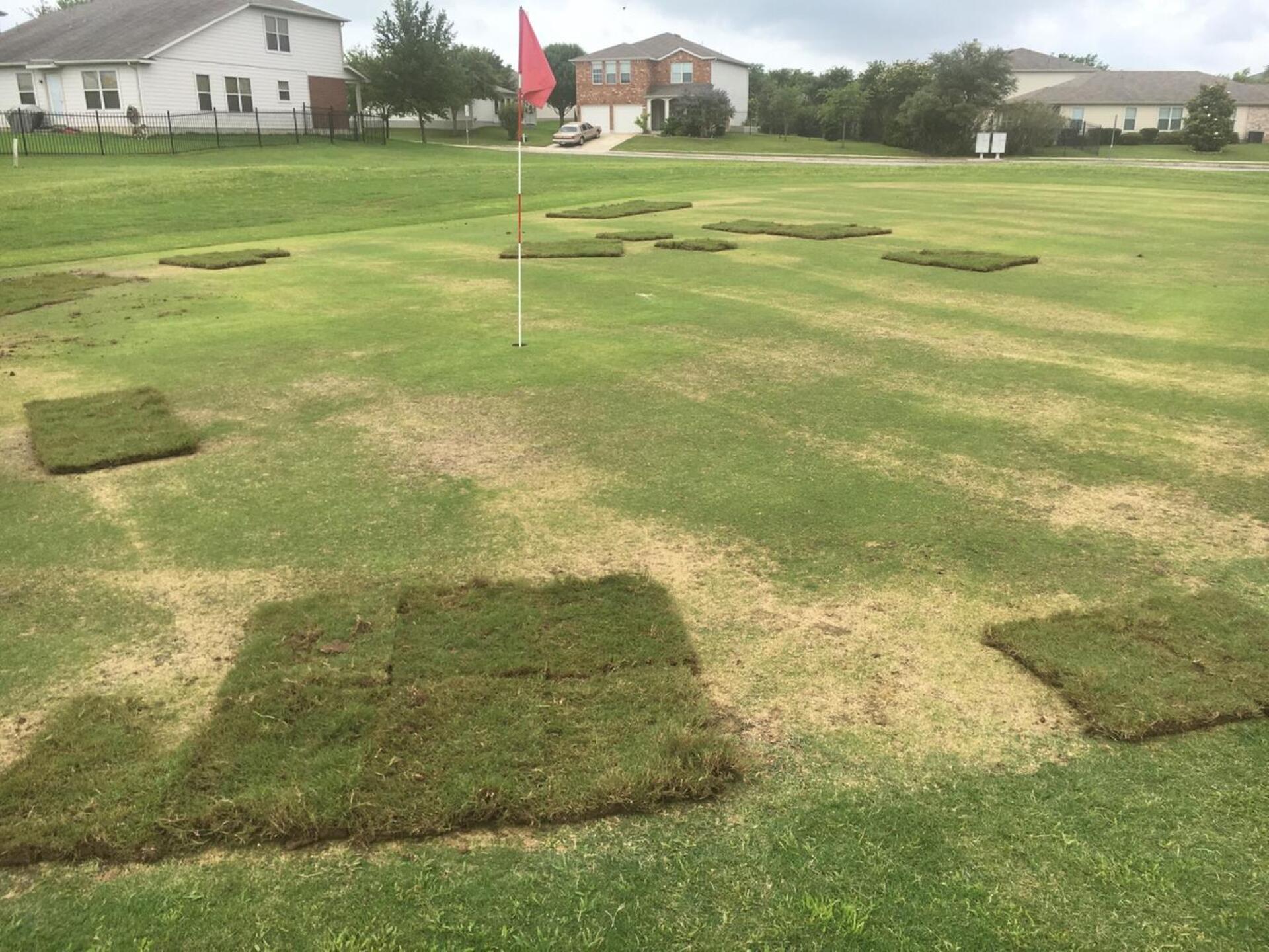 hole 13 green (Photo submitted by jnava15 on 05/28/2016)