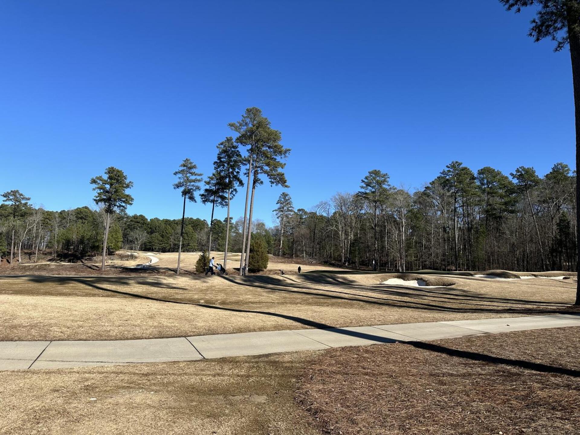 (Photo submitted by agmaghirang on 02/03/2024)