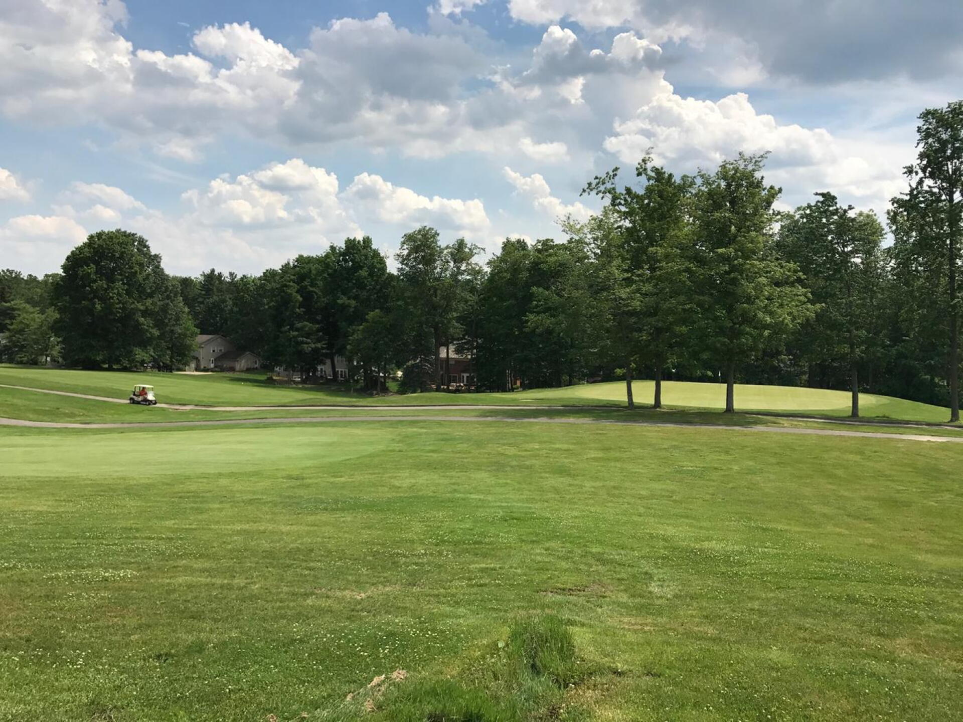 #9 par 4 green on the right (Photo submitted by carolinadad on 06/24/2017)