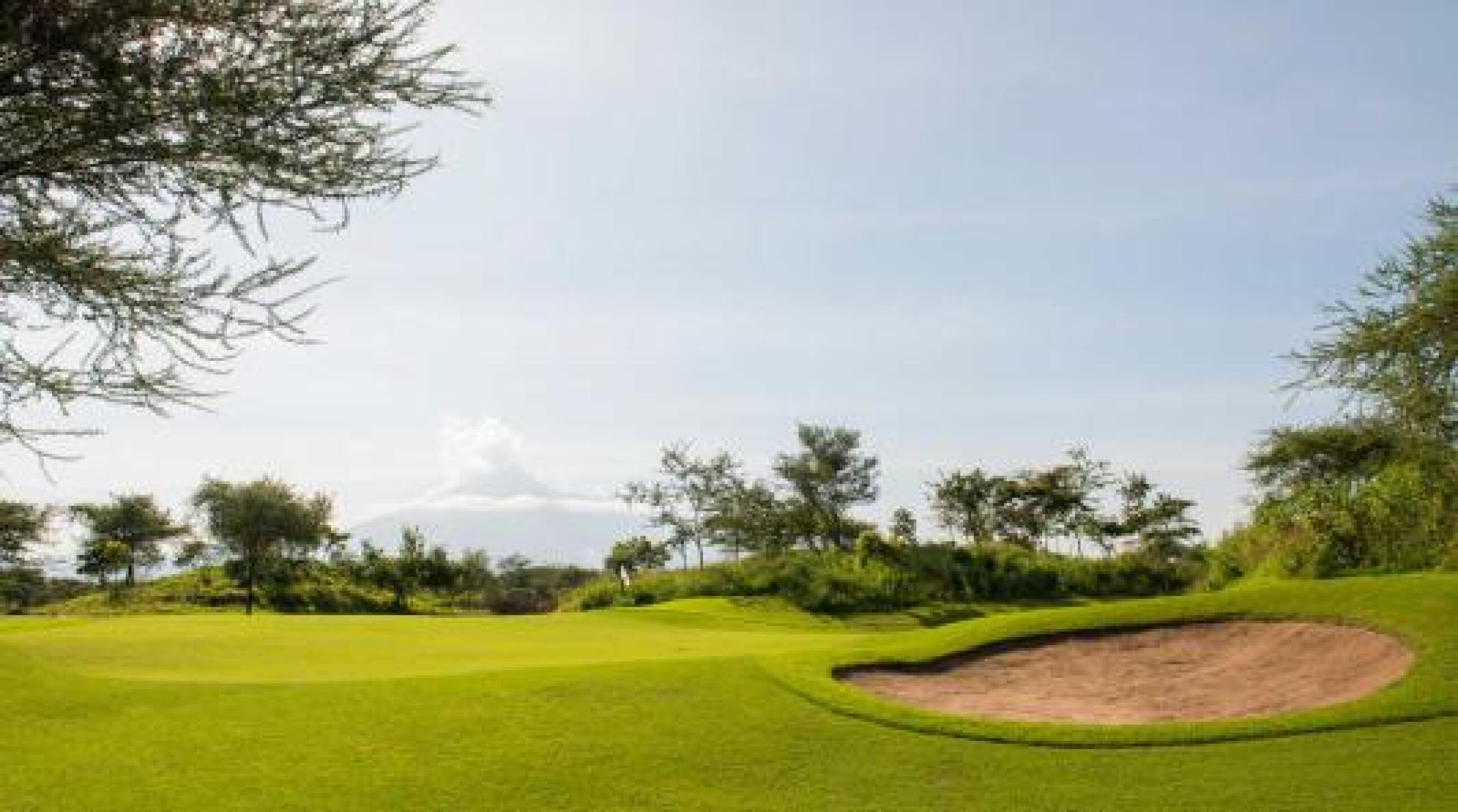 (Photo submitted by willem77 on 12/30/2014)