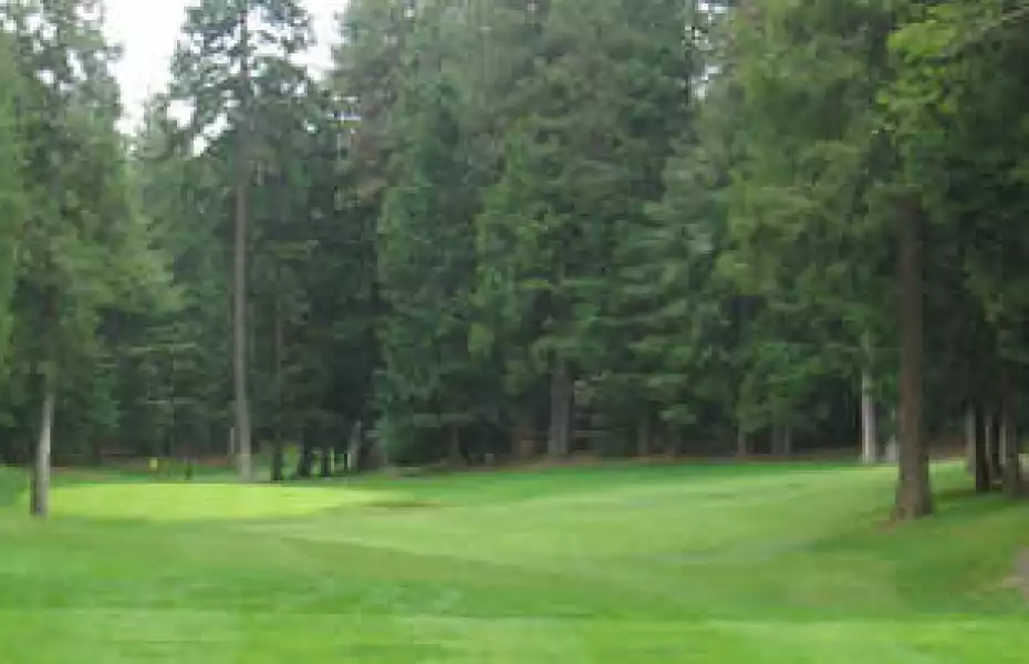 Paradise Pines GC