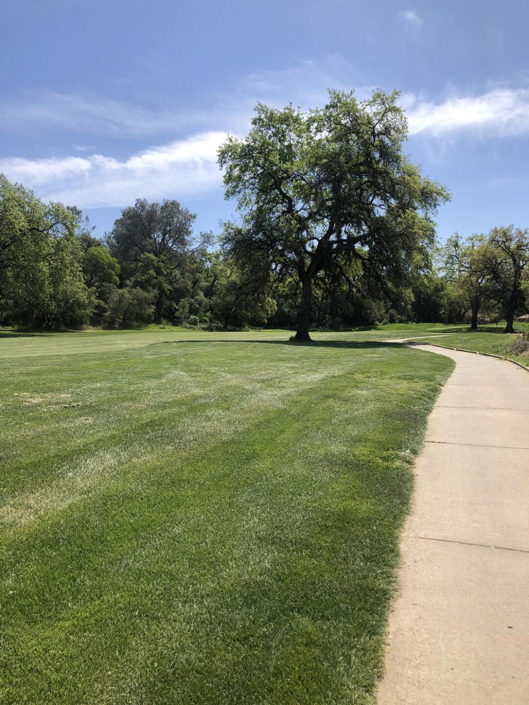 Hole 1 (Photo submitted by u4114979 on 04/10/2021)