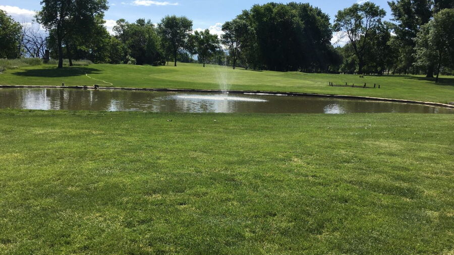 Fisher Grove CC