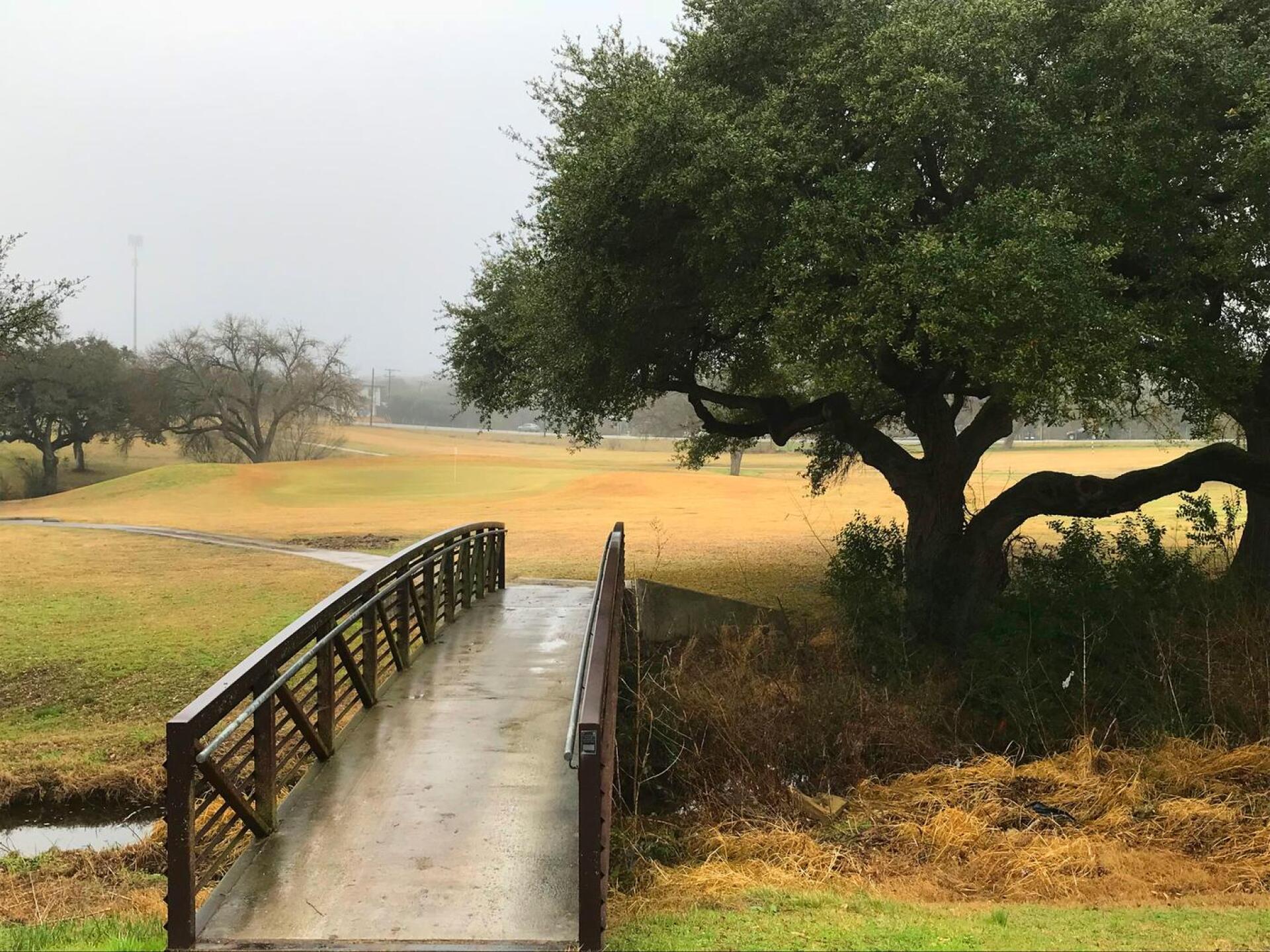 (Photo submitted by MikeBaileyGolf on 02/10/2018)