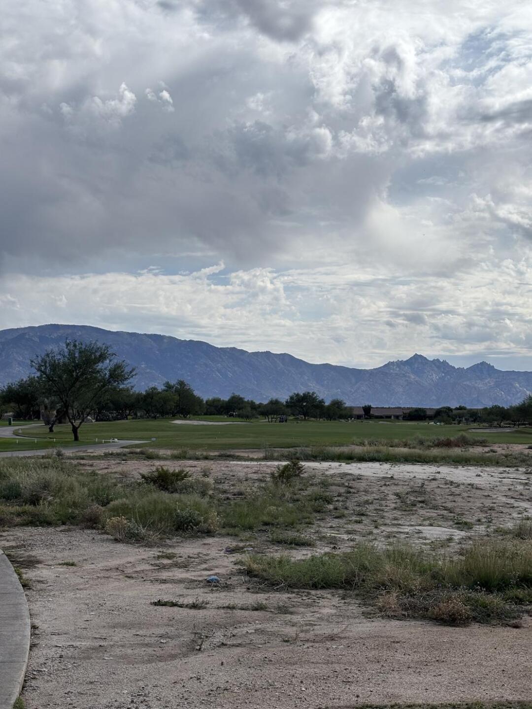 (Photo submitted by u314160875176 on 10/22/2025)