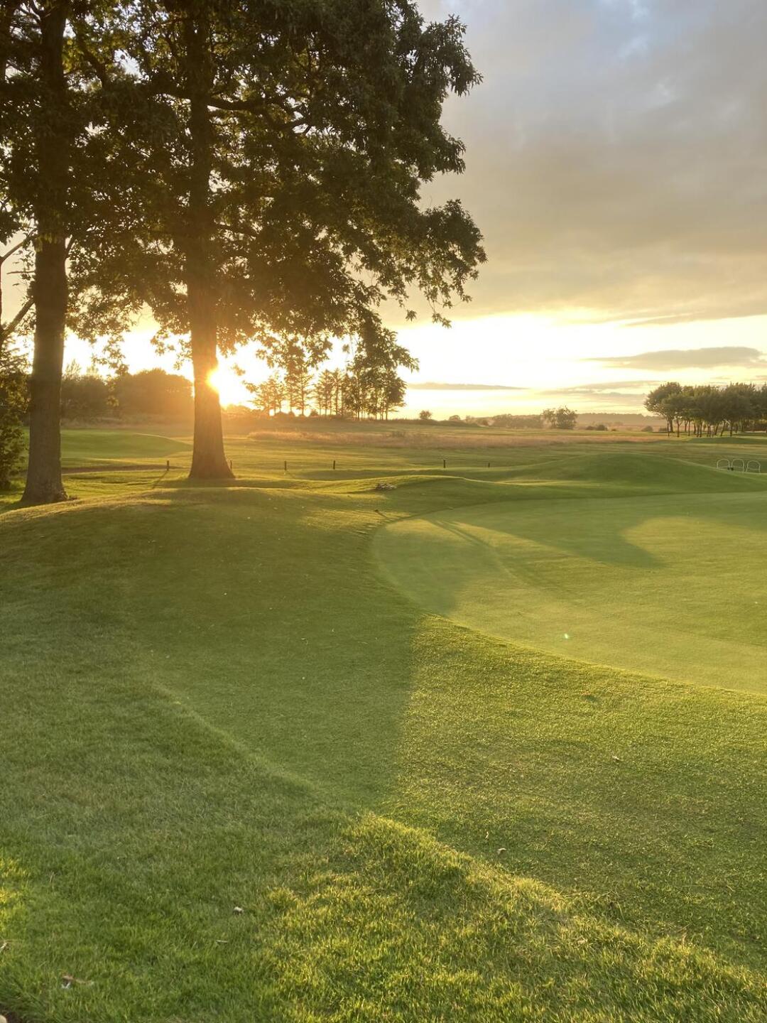 (Photo submitted by u314160863536 on 08/18/2021)